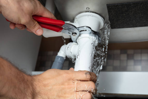 Best Mold removal after water damage  in Friars Point, MS