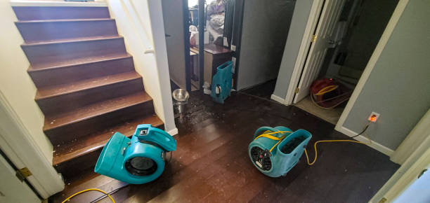 Best Flood damage cleanup  in Friars Point, MS