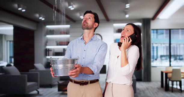 Best 24/7 water damage repair  in Friars Point, MS